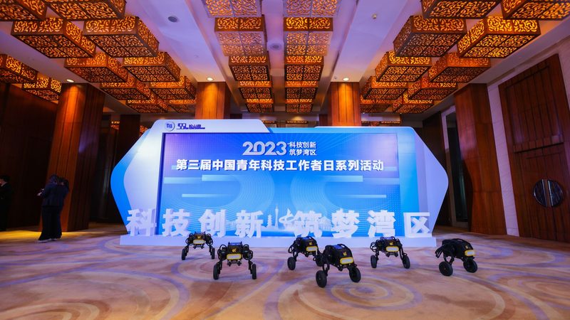 生物科技研发外包：上海企业的明智之选**